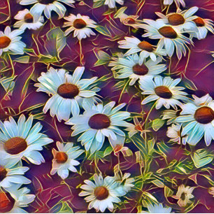 DAISY FLOWERS Latte Mug