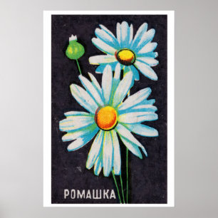Daisy Flowers - Matchbox Print - Aesthetic Wall