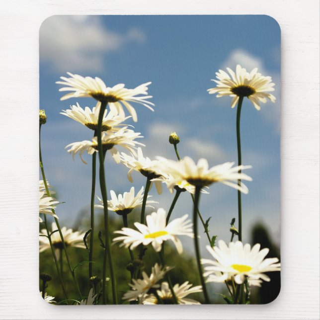 Daisy Flowers Mousepad (Front)