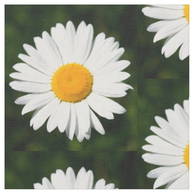 daisy flowers on green pattern fabric (Close Up)