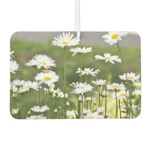 Daisy flowers photo car air freshener