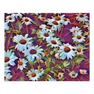 DAISY FLOWERS   PHOTO PRINT