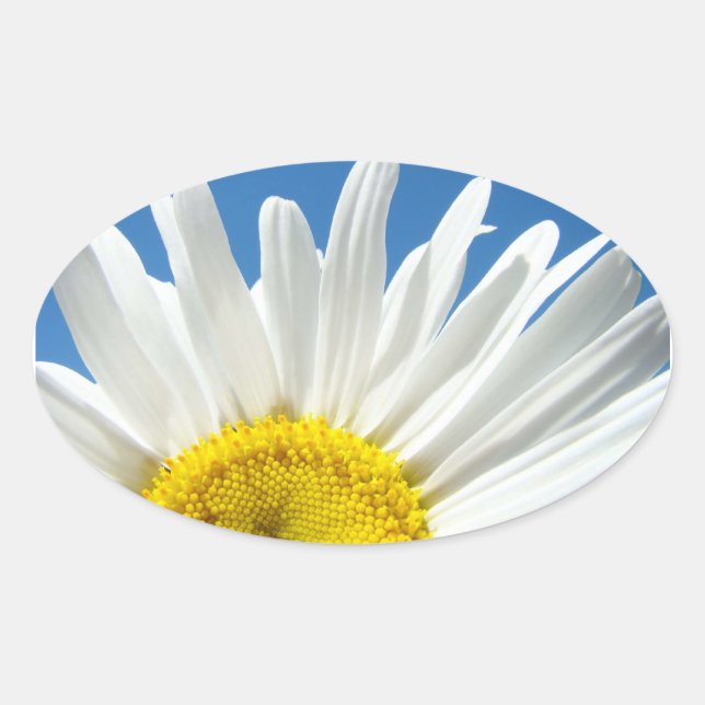 Daisy Flowers Stickers Blue Sky Envelope seals (Front)