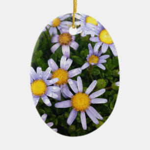 Daisy Flowers, White Yellow Flower, Nature Daisies Ceramic Tree Decoration