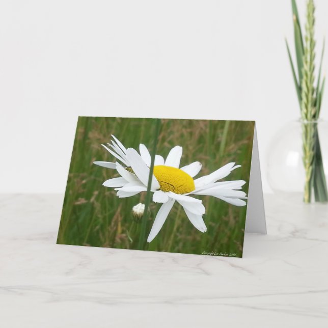 Daisy -  Folded Blank Greeting Card (Front)