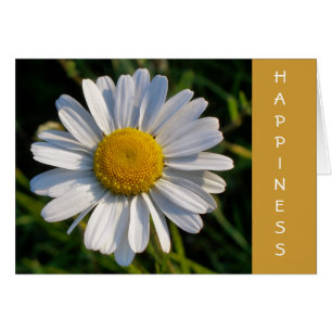 DAISY HAPPINESS card