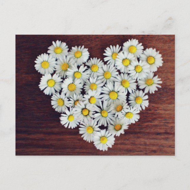Daisy Heart of Daisies Love Card (Front)