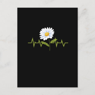 Daisy Heartbeat Postcard