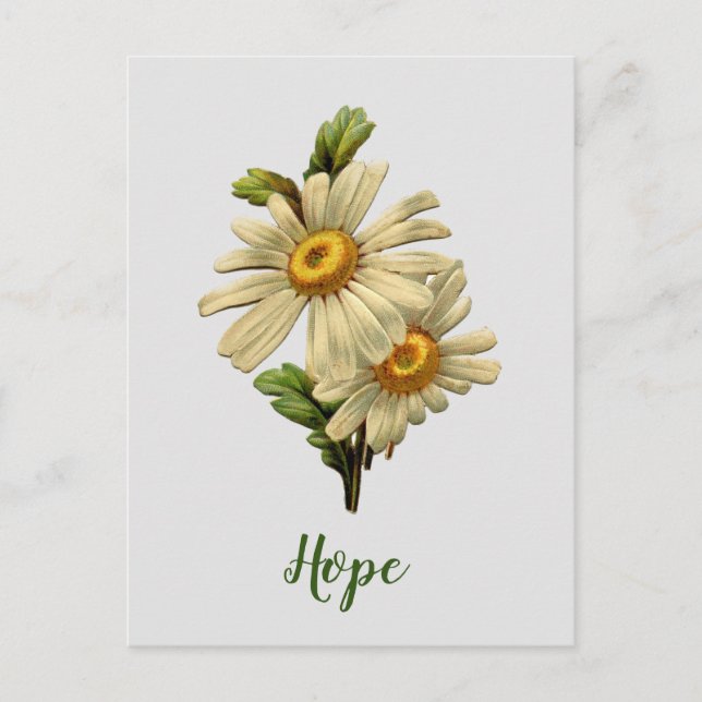 Daisy Hope Inspirational Postcard (Front)