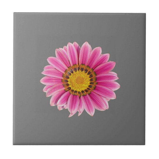 Daisy In Pink Ceramic Tile (Front)