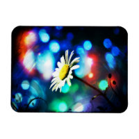 Daisy in Sparkling Lights