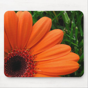 Daisy in the Corner Mouse Pad