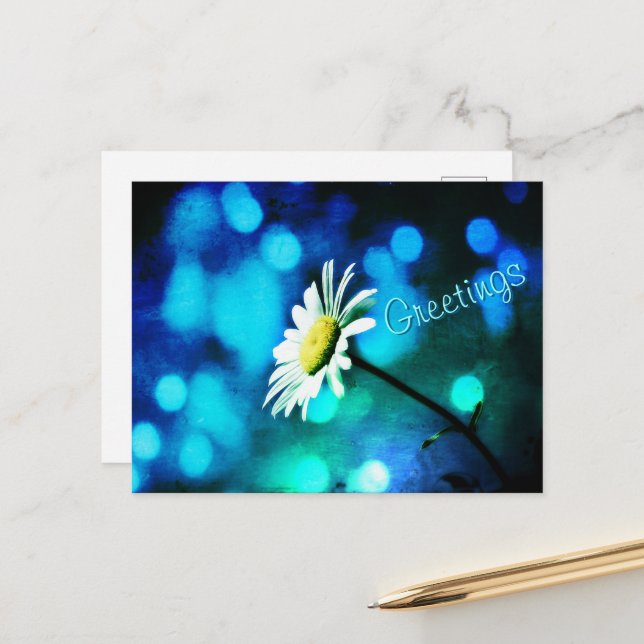 Daisy in Turquoise Greetings Postcard (Front/Back In Situ)