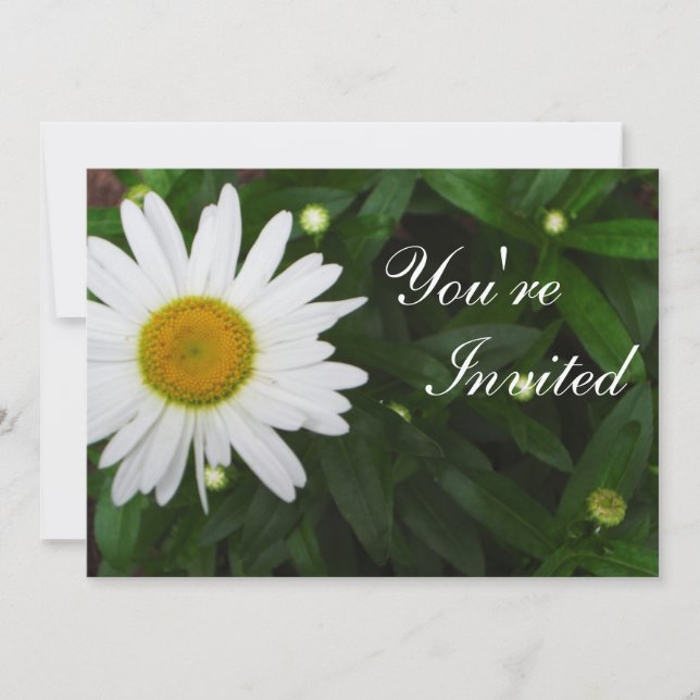 Daisy Invitation (Front)