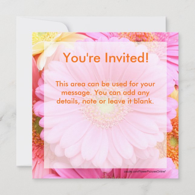Daisy Invitations - Pink Gerber Daisy (Front)