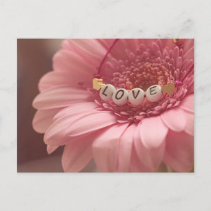 Daisy Love Postcard