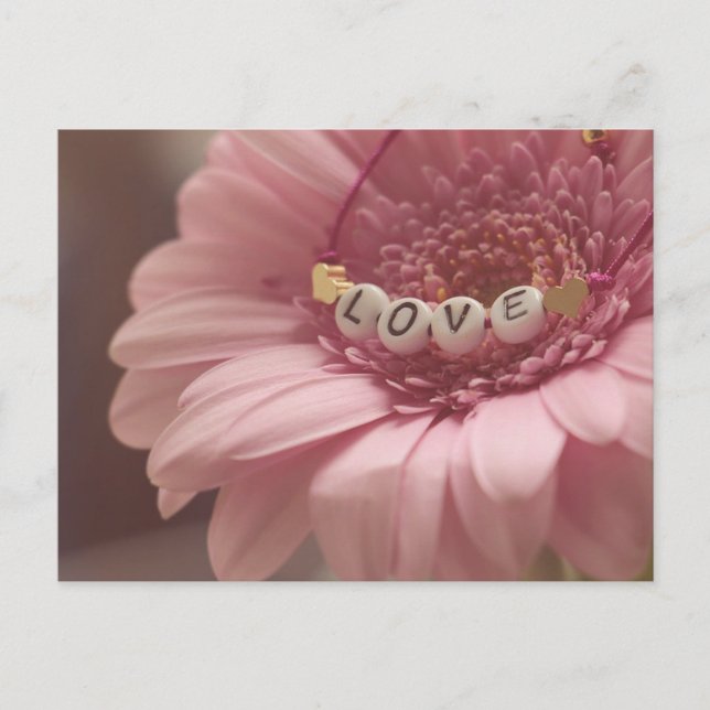 Daisy Love Postcard (Front)