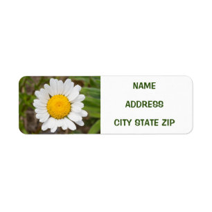 **DAISY LOVER'S** ADDRESS LABEL RETURN ADDRESS LABEL
