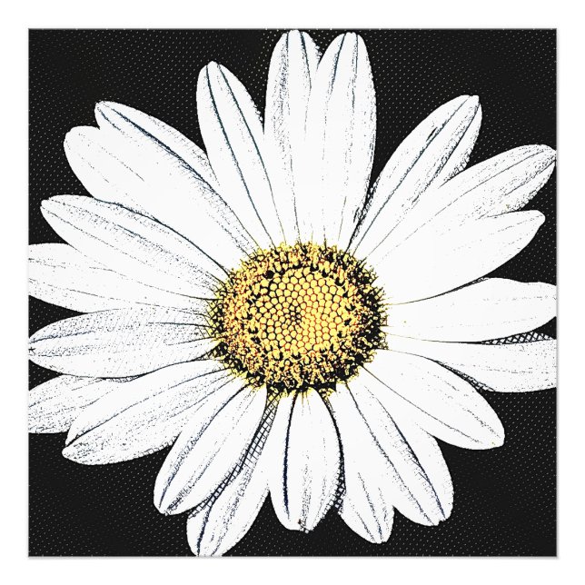 Daisy Mae Photo Print (Front)