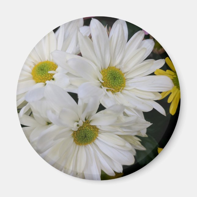 Daisy Magnet (Front)