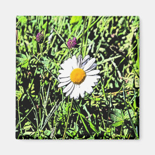Daisy Magnet