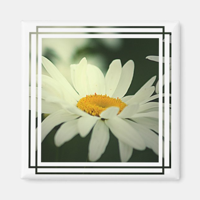 Daisy Magnet (Front)