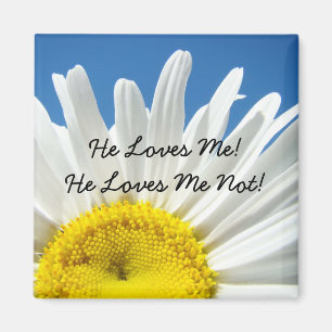 Daisy magnet He Loves Me! He Loves Me Not! magnets