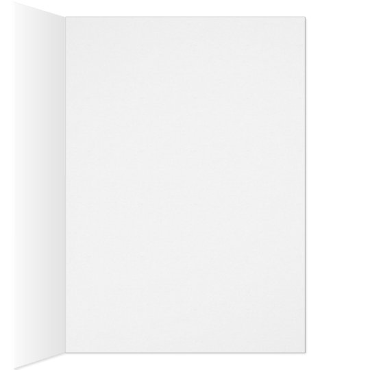 Daisy May Blank Greeting Card
