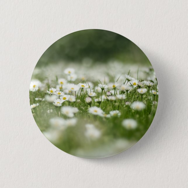 Daisy Meadow 6 Cm Round Badge (Front)