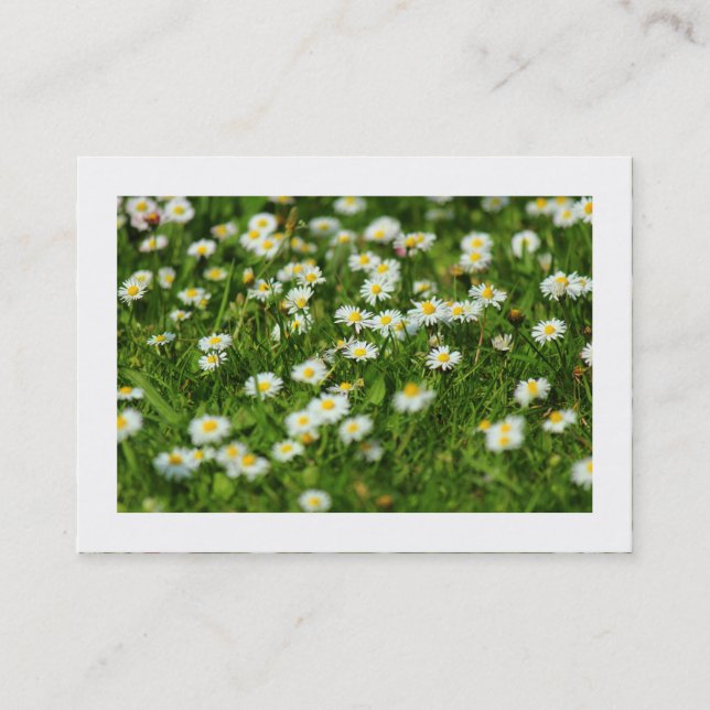 Daisy Meadow (Bordered) Business Card (Front)