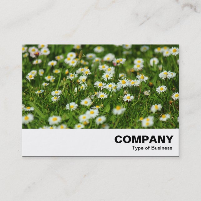 Daisy Meadow Business Card (Front)