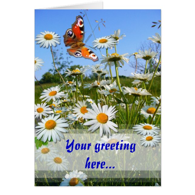 DAISY MEADOW ~ Card (Front)