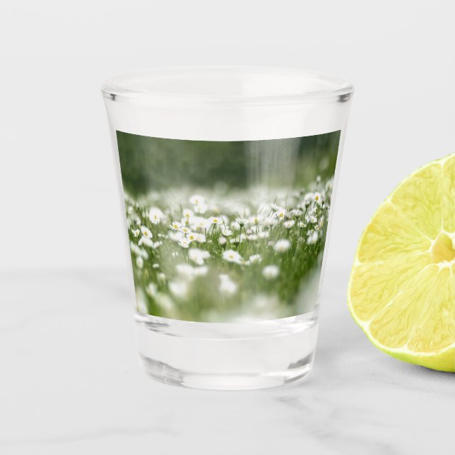 Daisy Meadow Shot Glass (Front)