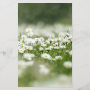Daisy Meadow Stationery