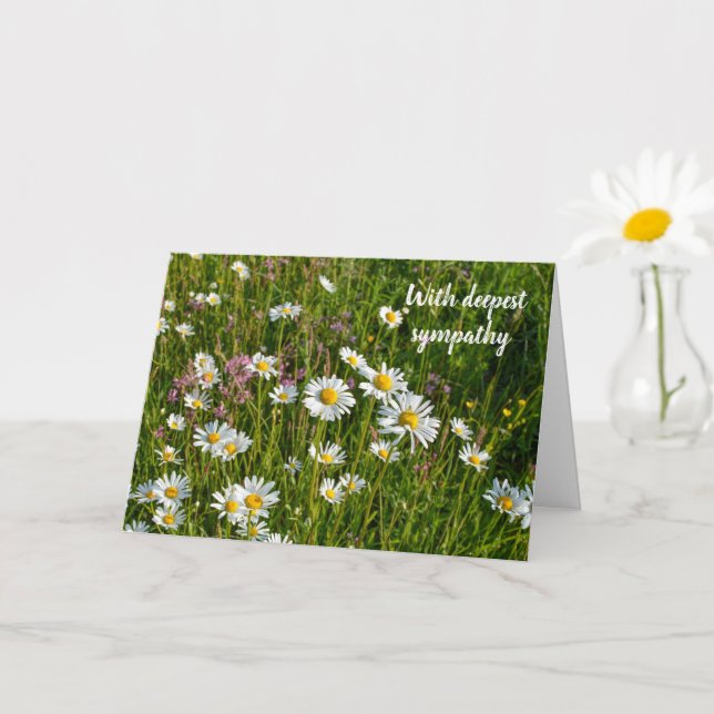 Daisy Meadows  -  With deepest sympathy Card (Small Plant)
