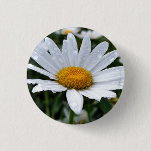 Daisy Morning Dew Magnet 3 Cm Round Badge