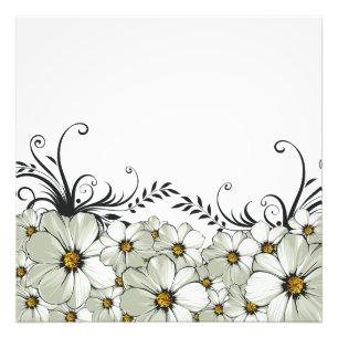 Daisy Morning Photo Print