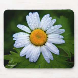 Daisy Mousepad