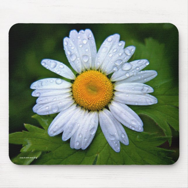 Daisy Mousepad (Front)