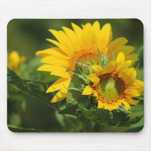 Daisy Mousepad - HAMbyWhiteGlove (Front)