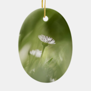 Daisy nature photo ceramic ornament
