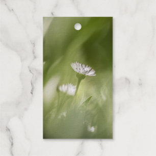 Daisy nature photo gift tags