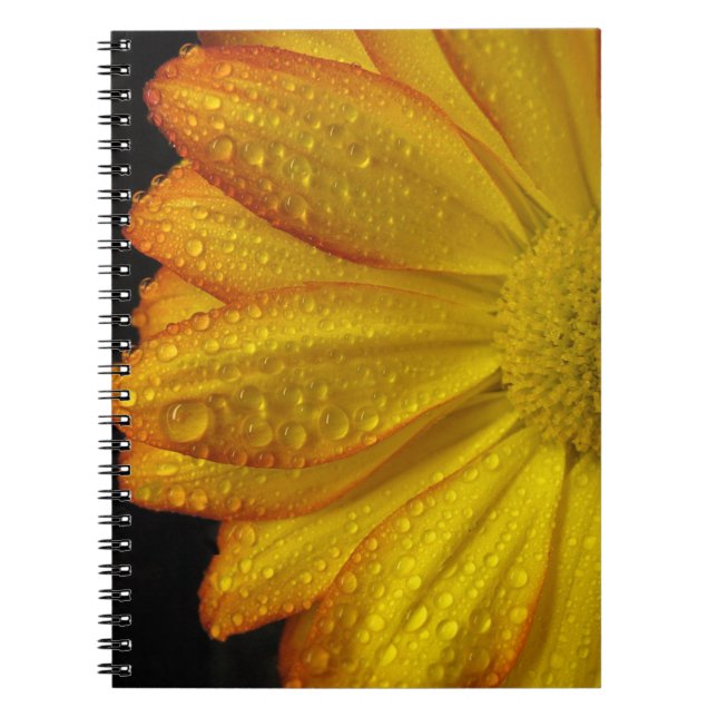 Daisy Notebook (Front)