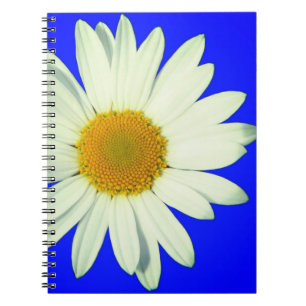 Daisy Notebook
