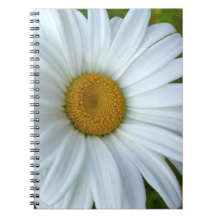 Daisy Notebook Classic Daisy Journals Flower Gifts
