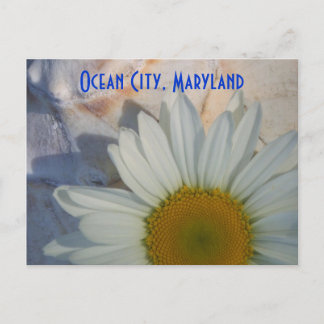 Daisy Ocean City Postcard