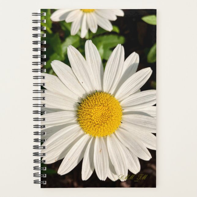 Daisy of a Planner. Planner (Front)