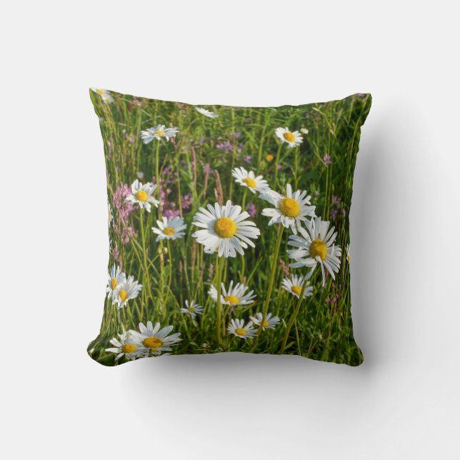 Daisy on a meadow cushion (Front)