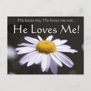 Daisy on Black Background Postcard