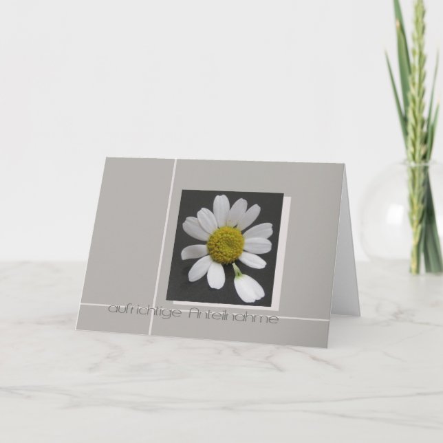 daisy on grey German sympathy card (Front)